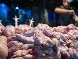 Pemprov DKI Pastikan Stok Pangan Jakarta Aman Meski Ada Konflik AS-Israel dan Iran