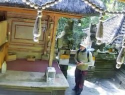 VIRAL! Turis Asing Diduga Gondol Uang Sesari di Pura Goa Gajah