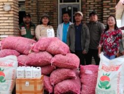 Dukung Ketahanan Pangan, Gubernur Sumut Salurkan 5 Ton Bibit Bawang Merah untuk Petani Tapanuli Utara