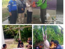 Gograber Indonesia DPW Kabupaten Tangerang Tebar Kepedulian Lewat Qurban Idul Adha 1447 H