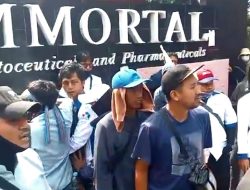 Didemo Karyawan, Manajemen PT Immortal Cosmedika Buka Suara soal PHK, UMK, dan BPJS