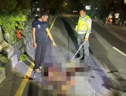 Tragis di Denpasar: Pejalan Kaki Tewas Terlindas Tiga Mobil, Dua Pengemudi Kabur dari Lokasi