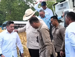 Prabowo Turun ke Sawah Tuban, Petani Jagung Bongkar Keluhan dan Harapan Besar