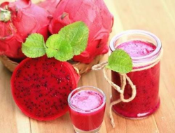 Manfaat Buah Naga Merah untuk Kesehatan