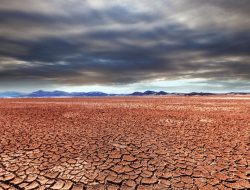 Kemarau Panjang Mengancam Kesehatan, Waspadai Heat Stroke hingga Gangguan Ginjal